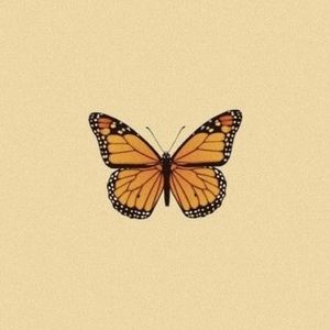 Meet your Posher, Layla